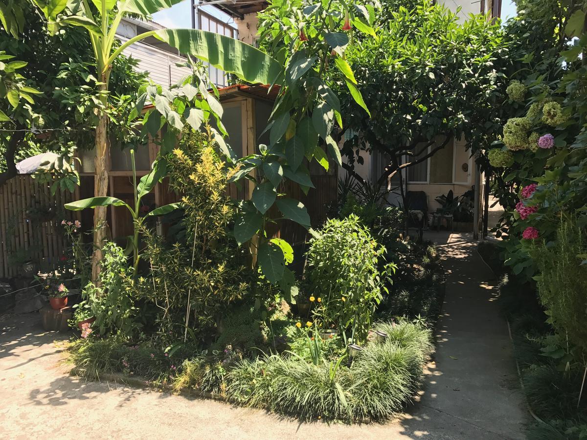 Частный Дом У Моря Gagra Exterior foto