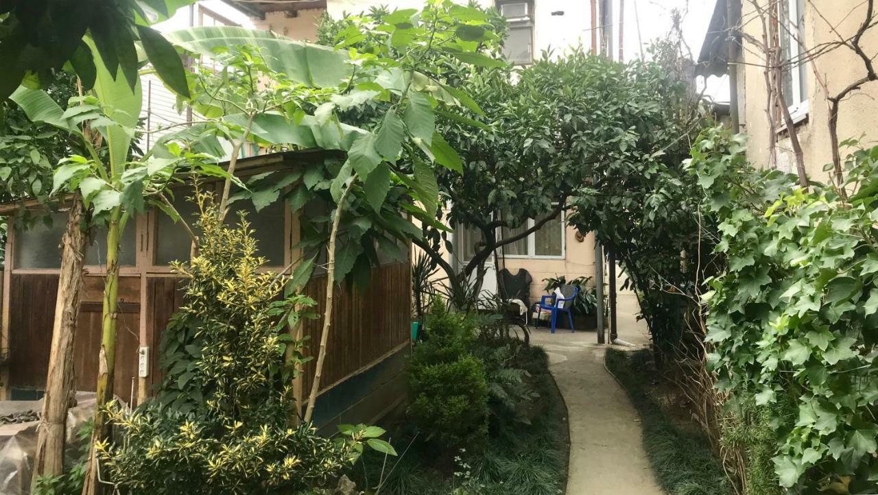 Частный Дом У Моря Gagra Exterior foto